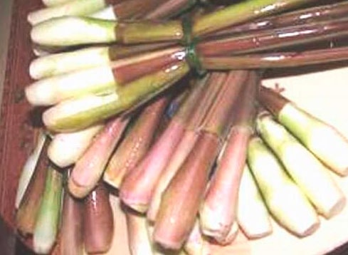 Củ niễng giúp giảm huyết áp, hạ mỡ máu