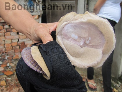 Nhiều người dân phát hiện áo ngực có gói hạt màu trắng