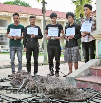 Ổ nhóm chuyên cắt trộm cáp viễn thông sa lưới