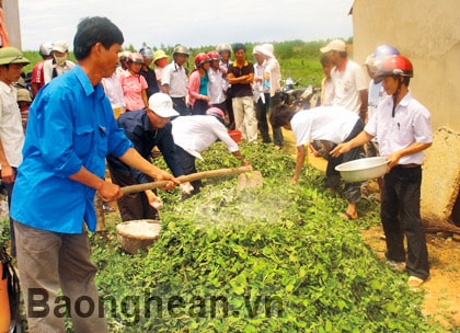 Nhân rộng mô hình sản xuất phân hữu cơ vi sinh