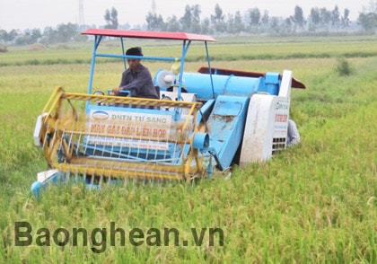 Đưa bảo hiểm nông nghiệp đến với nông dân