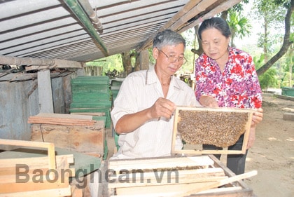 Nghề nuôi ong mật ở Tân Kỳ