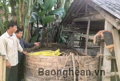 Anh Sơn: Ứng dụng công nghệ sinh học vào sản xuất nông nghiệp