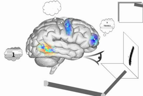 Não nhân tạo có khả năng đếm và suy luận