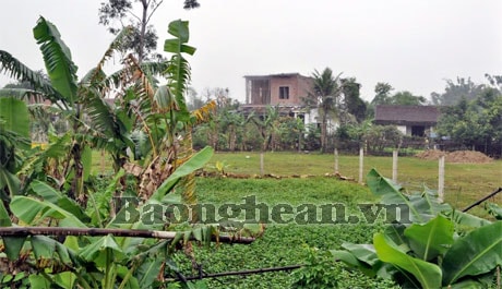 Cần xử lý sai phạm trong quản lý, sử dụng đất tại xã Hưng Khánh (Hưng Nguyên)