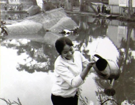 Nhắc lại, để yêu thêm hòa bình