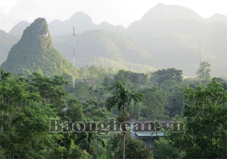 Dưới màu xanh làng Dừa