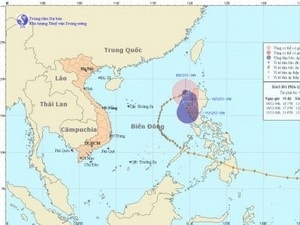Cơn bão số 9 đã suy yếu thành một vùng áp thấp