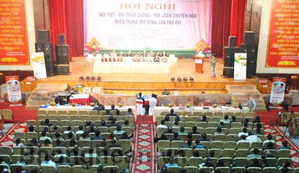 Sức lan tỏa từ Hội nghị Nội tiết – Đái tháo đường – Rối loạn chuyển hóa Miền Trung mở rộng lần thứ 8