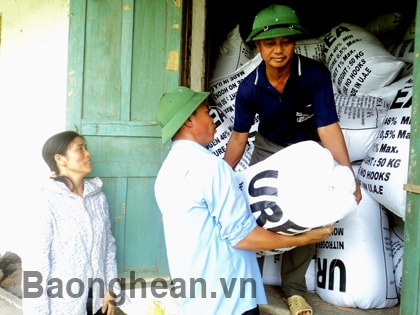 Ưu tiên cơ cấu giống lúa chất lượng cao