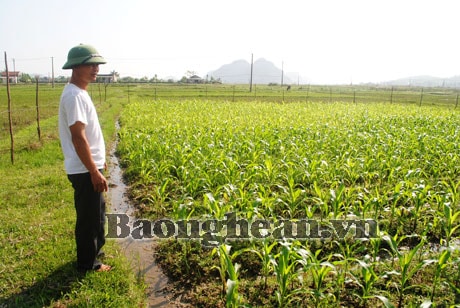 Bài cuối: Hỗ trợ đào tạo nghề và giải quyết việc làm cho nông dân