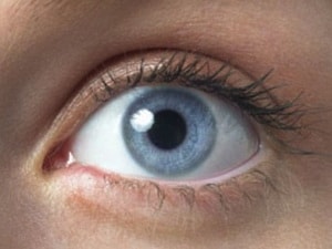 Thiết bị điện toán bắt chước giác quan con người