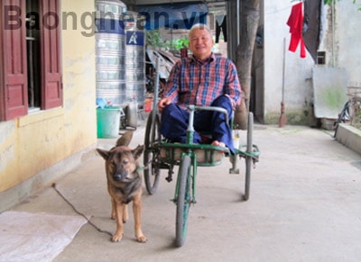 Người thương binh với biệt tài huấn luyện chó kéo xe lăn