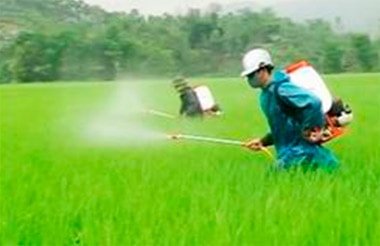 Mức phí, lệ phí trong lĩnh vực bảo vệ thực vật