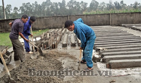 Đi đầu trong phong trào xây dựng nông thôn mới