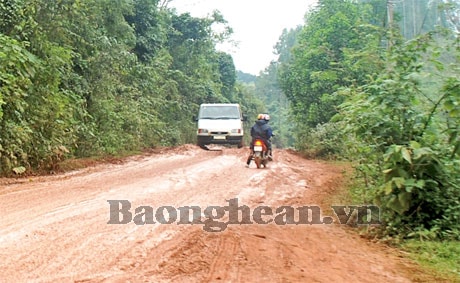 Cần khẩn trương nâng cấp đường nguyên liệu Thành - Bình  - Thọ