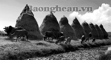 Hội Văn học nghệ thuật Nghệ An giành 2 giải thưởng Quốc gia