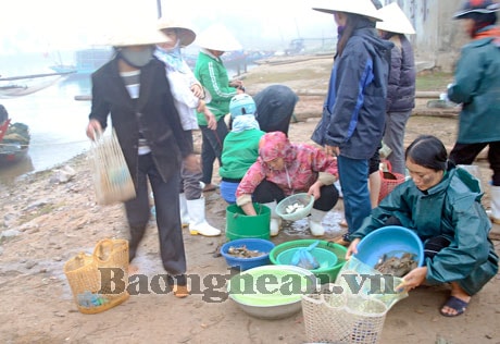 Người dân Tân Lập sau một đêm đi biển