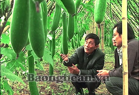 Sôi nổi phong trào Xây dựng nông thôn mới ở Anh Sơn