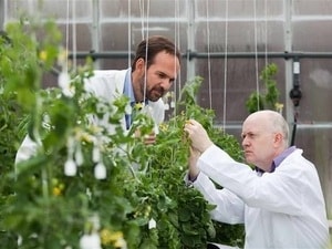 Đàn ông dễ phạm phải hành vi sai trái khi nghiên cứu