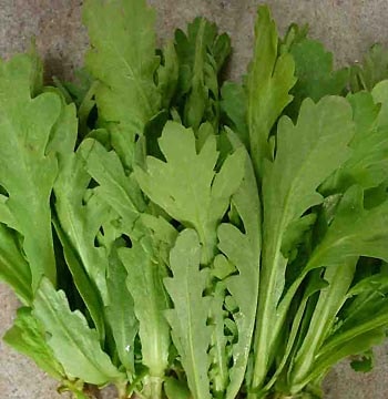 Chữa ho bằng rau cải cúc