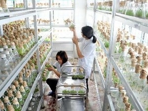 Tạo cơ hội phát triển tổ chức KHCN ngoài công lập