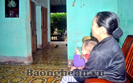 Tết này con không về