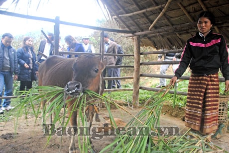 Một cách giúp đỡ xã nghèo thiết thực và hiệu quả