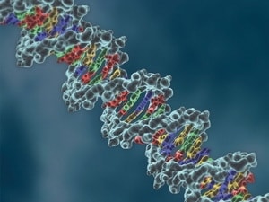 Can thiệp liệu pháp gene có thể chữa điếc bẩm sinh