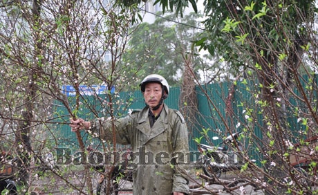 Hái lộc đầu Xuân- xin đừng thái quá