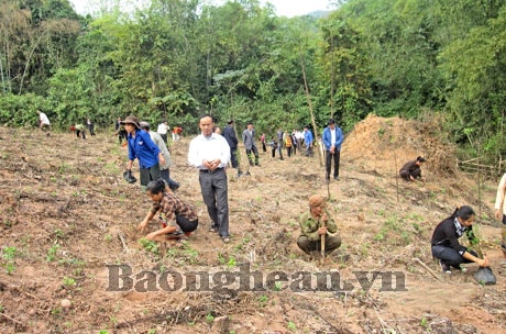 Đẩy mạnh trồng rừng vụ xuân