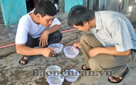 Quỳnh lưu phát triển kinh tế thủy sản