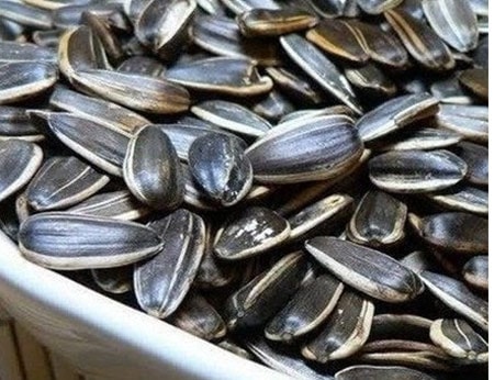 Hạt hướng dương Trung Quốc chứa chất gây teo não