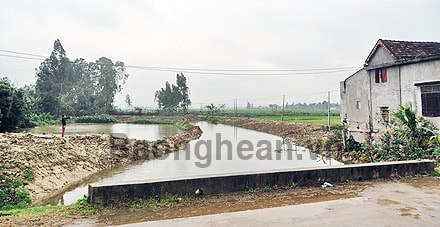 Cần công bằng khi xử lý sai phạm sử dụng đất cho thuê tại xã Nam Cát