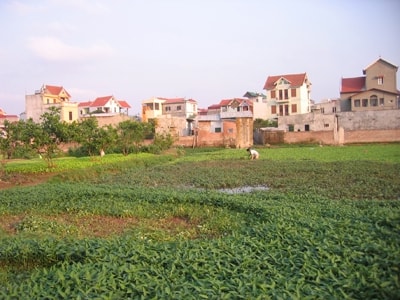 Những điểm mới về thu hồi đất trong dự thảo Luật Đất đai (sửa đổi)