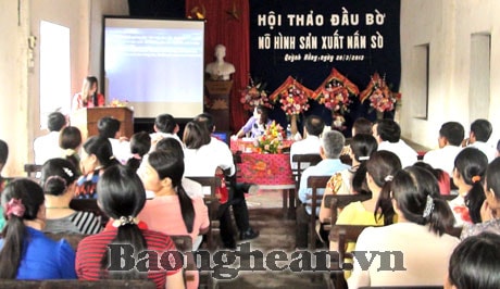 Quỳnh Lưu hội thảo đầu bờ mô hình trồng nấm sò