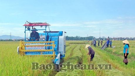 AGRIBANK Nghệ An: 25 năm đổi mới, đoàn kết, xây dựng và phát triển