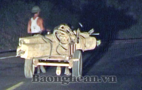 Thanh Chương: Cần tăng cường các giải pháp bảo vệ rừng