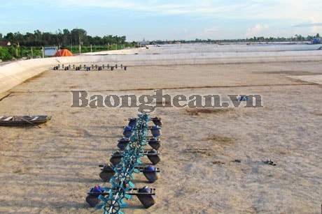 Chuẩn bị cho vụ tôm mới