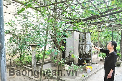 Làm rõ đúng, sai về tranh chấp đất đai tại phường Nghi Thu (TX Cửa Lò)