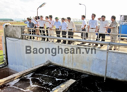 Nâng trách nhiệm thẩm định, đánh giá tác động môi trường