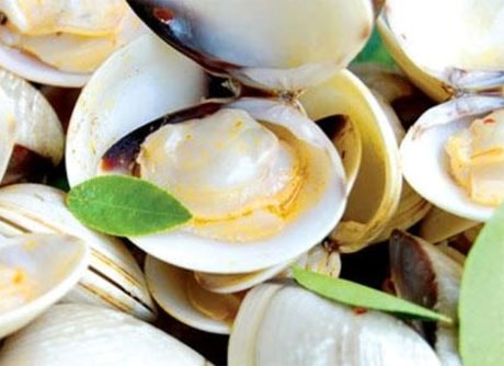 Những người bị bệnh gút không nên ăn món ngao