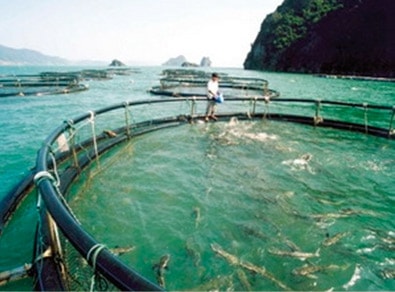 Vân Đồn sẽ là trung tâm du lịch sinh thái biển đảo