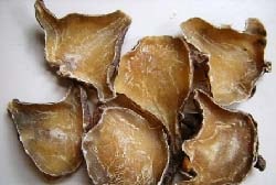 Những thuốc Ðông y không dùng khi có thai