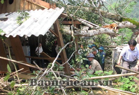 Nỗ lực khắc phục thiệt hại lốc xoáy, mưa đá ở Kỳ Sơn