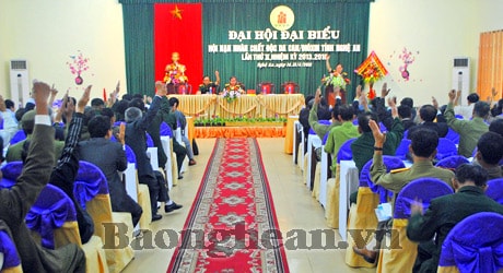 Đại hội đại biểu Hội Nạn nhân chất độc da cam/dioxin tỉnh Nghệ An, nhiệm kỳ 2013-2018
