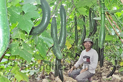 Sức sống mới Tân Kỳ