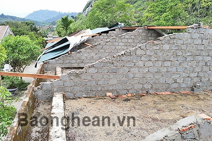 Con Cuông: Cần khẩn trương khắc phục lốc xoáy tại Môn Sơn