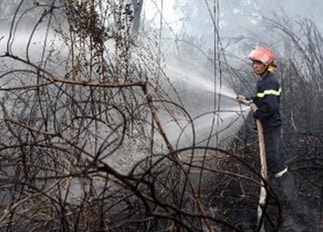 Hỏa hoạn thiêu rụi gần 20ha rừng tràm U Minh Hạ