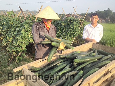 Huy động sức dân ở Tào Sơn (Anh Sơn)